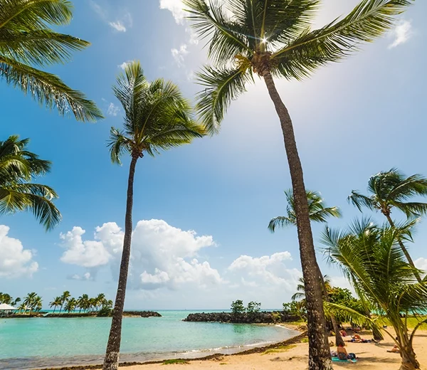 Dominican Republic Vacation