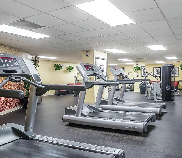 Las Vegas, NV Vacation