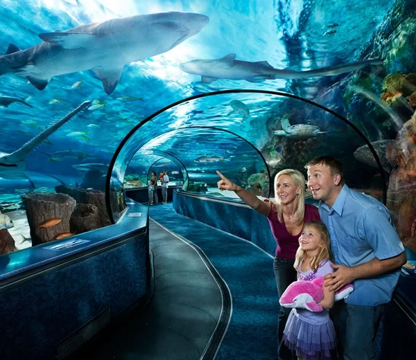 Myrtle Beach, SC Vacation