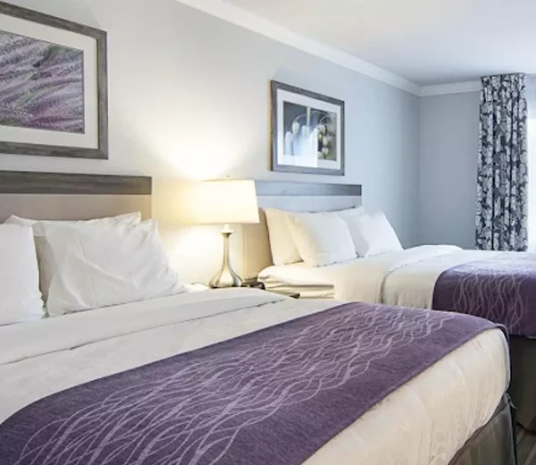 Williamsburg, VA Vacation